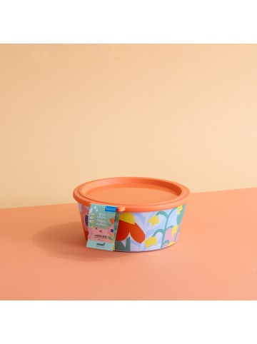 koziol NORA BOX 1,3l BLOOMS - Schale 1,3l mit Deckel in sweet blue/strong coral