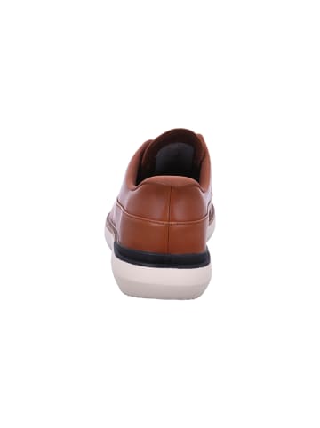 Skechers Schnürer Mako in Braun