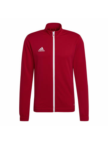 adidas für Herren in uni