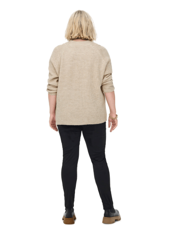 ONLY Pullover CARJADE in Beige