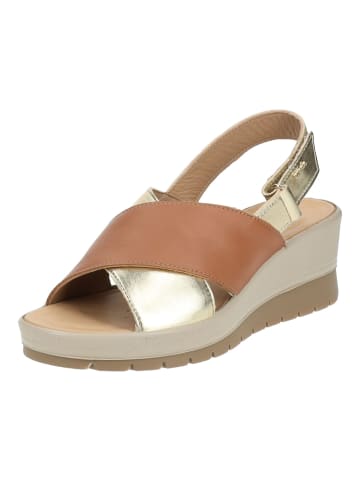 Igi&Co Sandalen in Braun/Gold