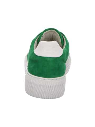 Gabor Sneaker in grün