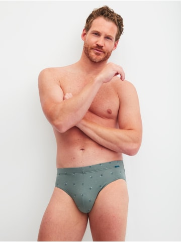 Calida Slip in laurel green