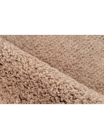 Kayoom Kayoom Neu 2026 Wohnzimmer Hochflor Teppich Pasture 125 champagner in champagner