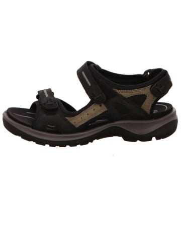 Ecco Komfort Sandalen für Herren in schwarz