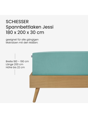 Schiesser Edel-Jersey Spannbettlaken Jessi in Mint