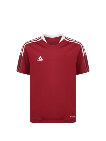 adidas Performance Trainingsshirt Tiro 21 in rot / weiß