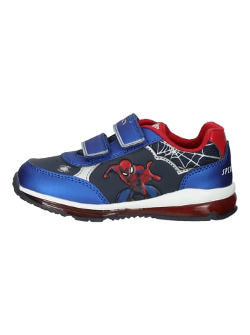 Geox Sneaker in Navy/Rot