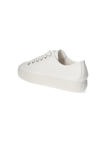 Paul Green Low Sneaker in weiß