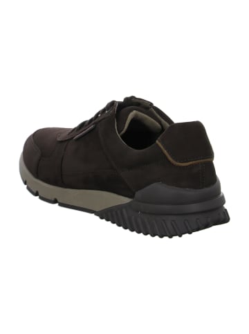 Gabor Sportliche Schnürschuhe in Braun