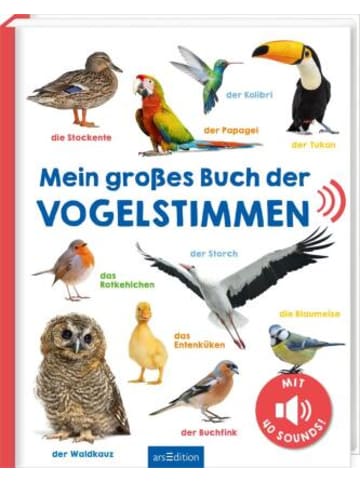 ars edition Buch - Mein großes Buch der Vogelstimmen