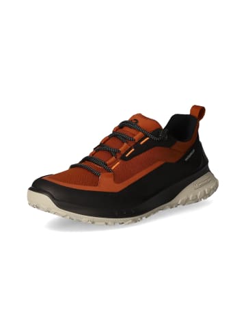 Ecco Sneaker Ult-Trn M in black/cognac