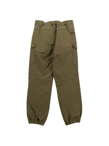 Jack Wolfskin Hose Cargo Pants in Grün