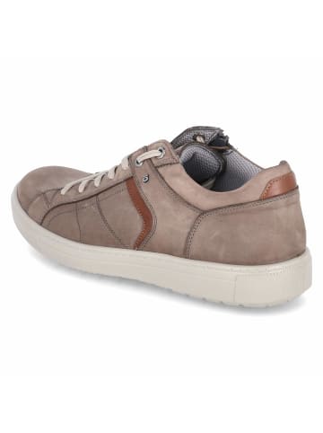 Jomos Low Sneaker in Beige