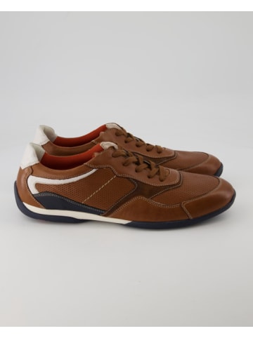 LLOYD Sneaker low in Braun