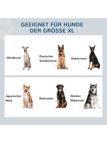 Pawhut Erhöhter Hundenapf Grau