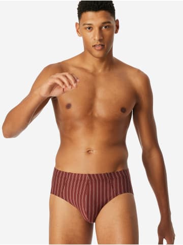 Schiesser Slip 95/5 Essentials in sortiert 13