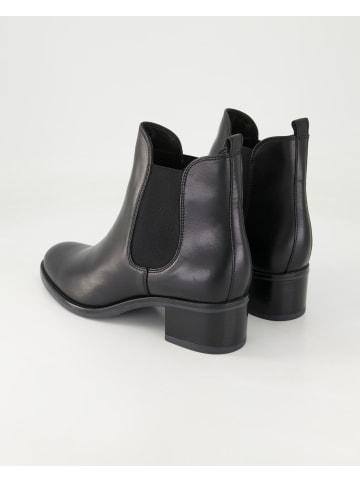 Terry Klassische Stiefeletten in Schwarz