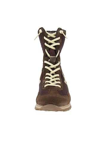 Cetti Sneaker high C-1421 SRA in Braun