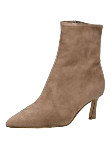Steve Madden Stiefelette LULAH in Taupe