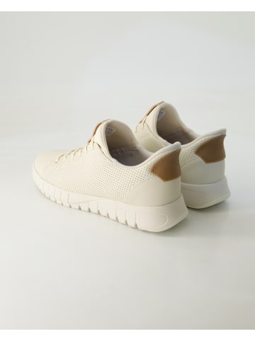 Geox Sneaker low in Beige