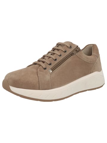 Solidus Schnürschuhe Ken - Weite M in Braun