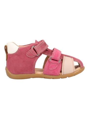 Geox Sandalen in Fuchsia