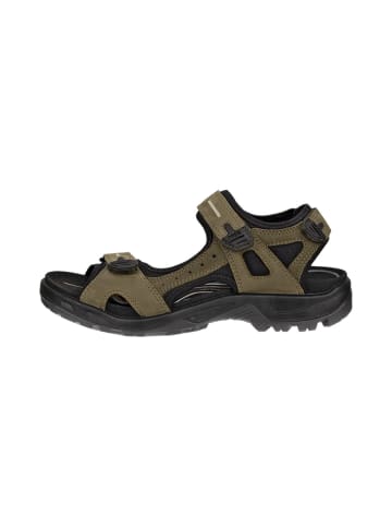 Ecco SHOES "OFFROAD" in Grün