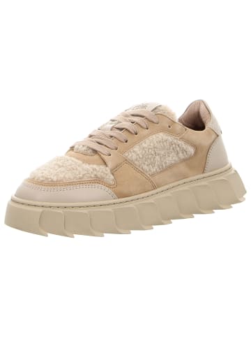 Apple of Eden Sneaker in beige
