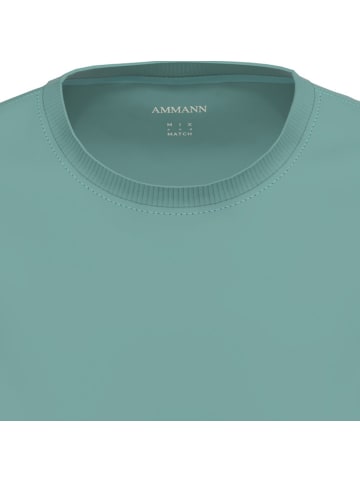 Ammann Single-Jersey Bio Langarmshirt Uni in jade