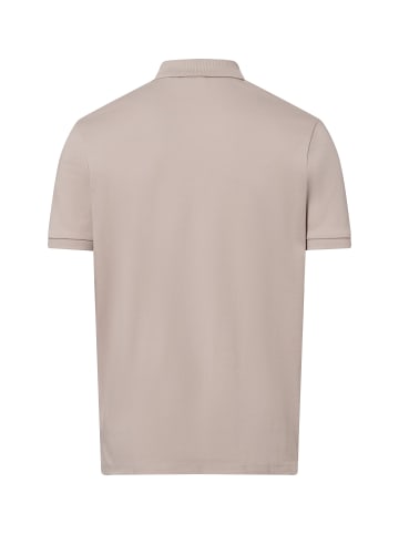 Finshley & Harding Poloshirt in kitt