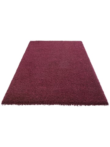 Tara Carpet Hochflorteppich Twilight in Bordeaux