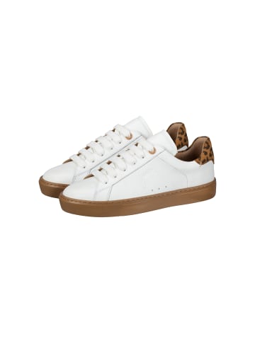 JOOP! Sneaker 'Leo Autografo Coralie in Weiß'