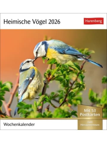 Harenberg Kalender - Heimische Vögel Postkartenkalender 2026 - Wochenkalender mit 53