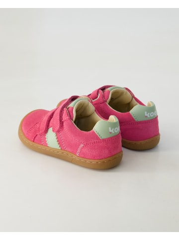 KOEL Klettschuhe in Pink