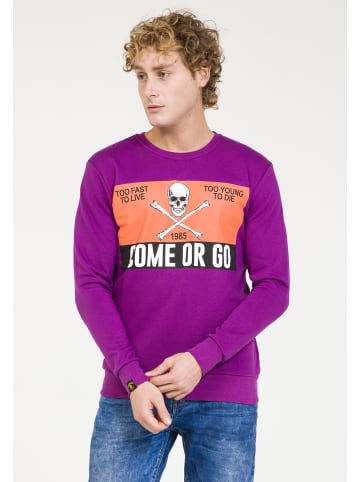 PLUS EIGHTEEN Herren Sweater in Lila
