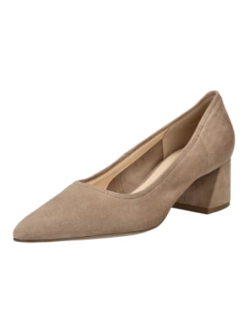 Högl Pumps in Taupe