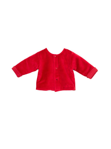 Tutto Piccolo Übergangsjacke in Red
