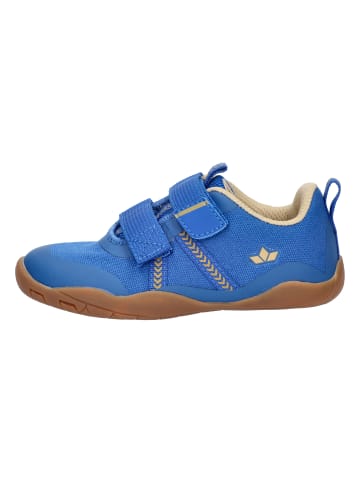 Lico Barefoot Schuhe "Aride V" in Blau