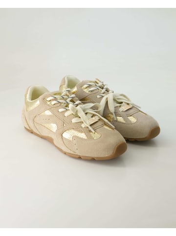 Steve Madden Sneaker low in Beige