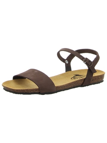 Plakton Sandalen in braun