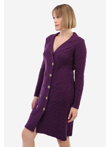 Felix Hardy Kleid in Violett