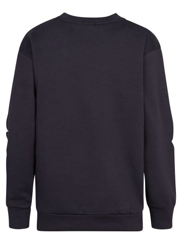 Petrol Industries Logo Sweatshirt Adirondack in Blau