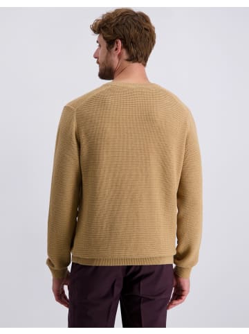 Pierre Cardin Pullover in Lark