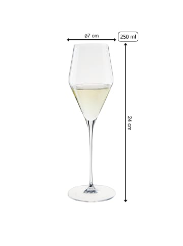 Spiegelau 6er Set Champagnergläser Definition 250 ml transparent in transparent