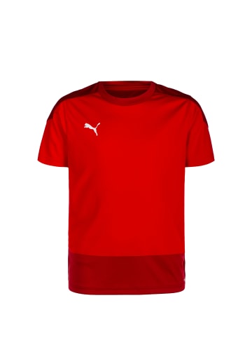 Puma Trainingsshirt TeamGOAL 23 Jersey Junior in dunkelrot / rot