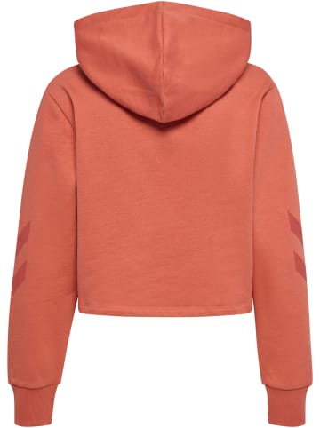 Hummel Hummel Hoodie Hmllegacy Damen in APRICOT BRANDY