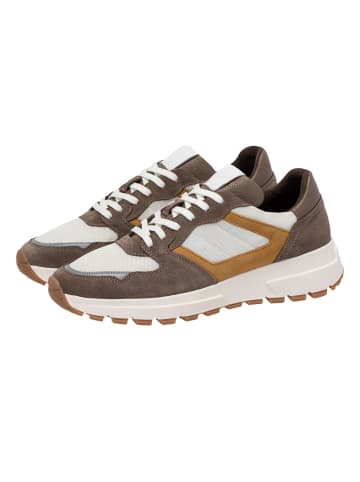 JOOP! Sneaker in Braun/Weiß