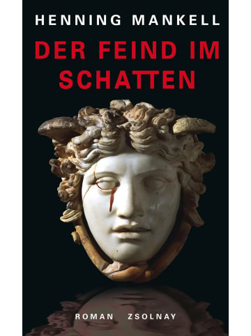 Zsolnay Der Feind im Schatten