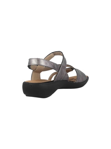 WESTLAND Sandalen in Grau